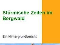 Stormy times in mountain forests