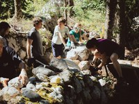 Stone up - let's preserve our heritage!