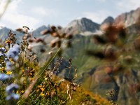 Biodiversity needs bold policy and stringent implementation