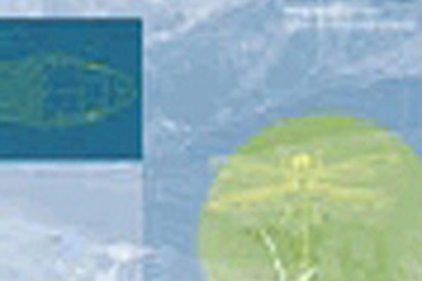 New publications show: biodiversity still on the wane