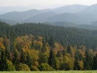 Carpathian Convention now in force