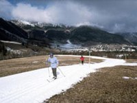 Skiers: a species on the verge of extinction?