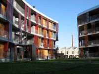 Negative CO2 balance in the Alpine region