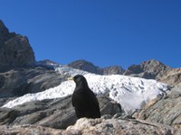 Alpweek 2008 - Innovating [in] the Alps