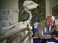 Nature abhors borders: Ecological Continuum and Econnect