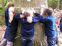 Network of municipalities: new approaches to climate change mitigation