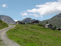 Swiss-Italian cooperation in favor of ecological connectivity