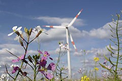 Kick-off for recharge.green project: connecting energy and nature