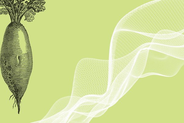 Cultural laboratory Alps