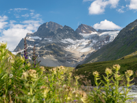 Experience the last of the glaciers