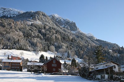 How intact ecosystems improve our quality of life