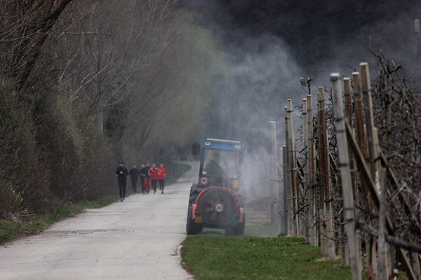 Poisoned playgrounds