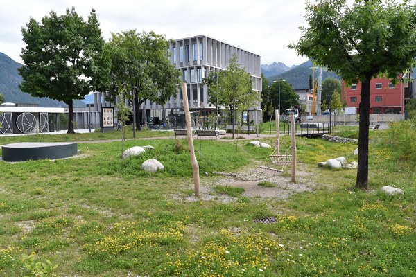 Three years for living soils: Ground:breaking takes stock