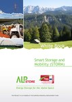 White Book - Smart Storage and Mobility (STORM)