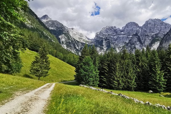 La Via Alpina ha bisogno di te!