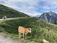 Paesaggio e agricoltura