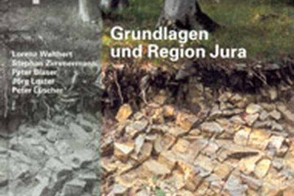 Nuova pubblicazione "Suoli forestali della Svizzera"