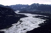 Scienziati in difesa del Tagliamento
