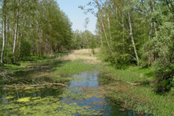 Slovenia: serie di centrali idroelettriche in progetto