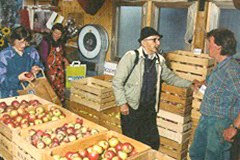 Europa: preoccupazioni per l'agricoltura biologic