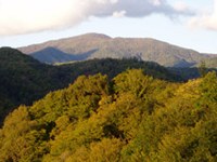 Giochi olimpici invernali nel Caucaso