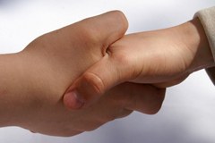 Alpe Adria preme sull'acceleratore per le energie alternative attraverso le frontiere