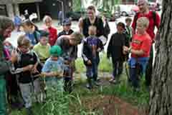 "I migliori cinque" - nuova pubblicazione con proposte di mete di escursioni e gite scolastiche nell'area Arge Alp