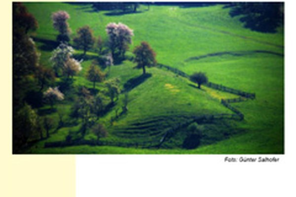 Pubblicazione "Nuovi modelli di protezione della natura e del paesaggio culturale nei parchi naturali austriaci"