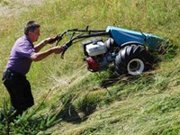 Svizzera: più contributi per gli agricoltori di montagna e biologici