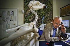 Natura senza confini: Continuum ecologico ed Econnect