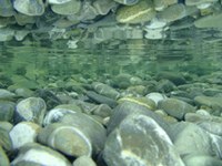 Aiuti di stato per centrali idroelettriche in aree protette sensibili