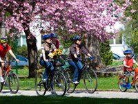 Con la coda dell'occhio: i comuni verso l'autosufficienza energetica