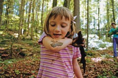 L’effetto catalizzatore