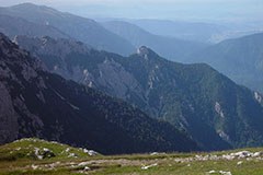 Gli sloveni vogliono una strategia verde