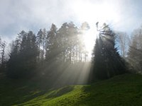 50 anni di parchi naturali in Austria