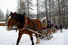 Agli impianti sciistici con energia solare e carrozze trainate da cavalli