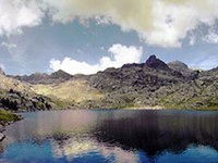 Protezione della natura senza confini tra Italia e Francia