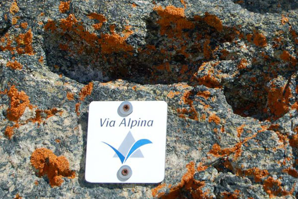 La CIPRA si lancia in un'escursione di lunga percorrenza