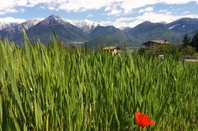 Alpi italiane tra luci ed ombre