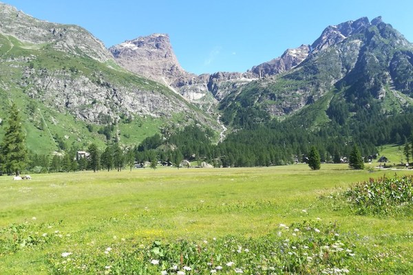 Aree protette alpine e cambiamenti climatici