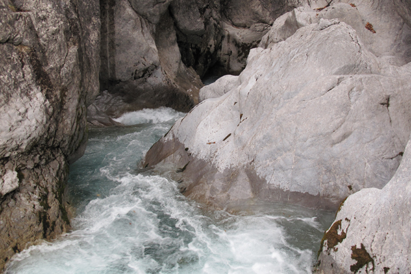 Il vero tesoro delle Alpi