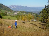 La biodiversità come bene comune