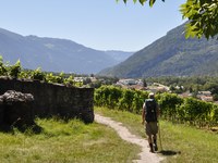 Luci ed ombre nelle Alpi Italiane