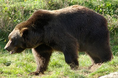 Orsi: la responsabilità è nostra