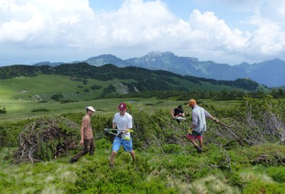 Partecipazione civica: come guadagnare terreno