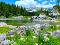 Perché non facciamo il bagno nei laghi alpini?