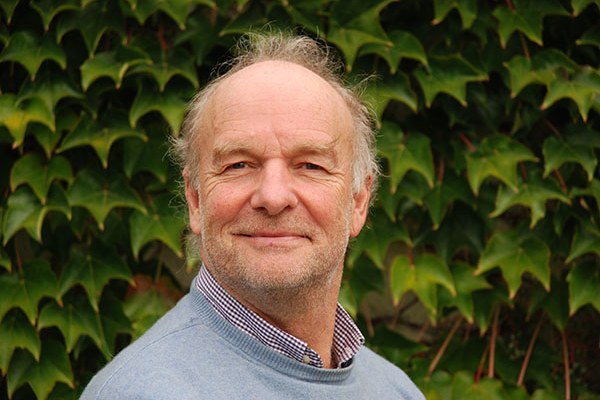 Quello in cui le api sono superiori a noi