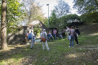 Salvare le specie alpine