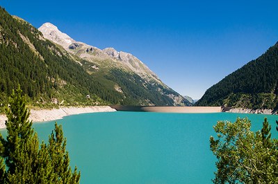 Transizione energetica – a spese dell’ambiente