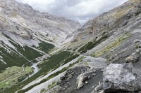 Tutelare la biodiversità alpina